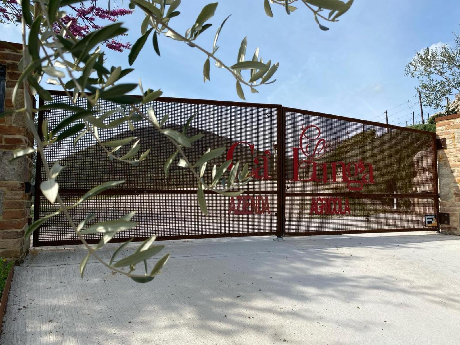 Azienda Agricola Ca' Lunga Cinto Euganeo Exterior foto